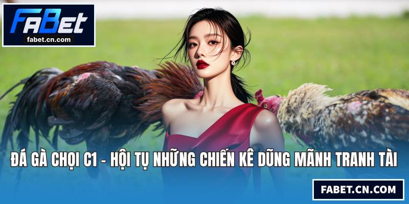 Đá Gà Chọi C1 - Hội Tụ Những Chiến Kê Dũng Mãnh Tranh Tài Đá gà chọi C1