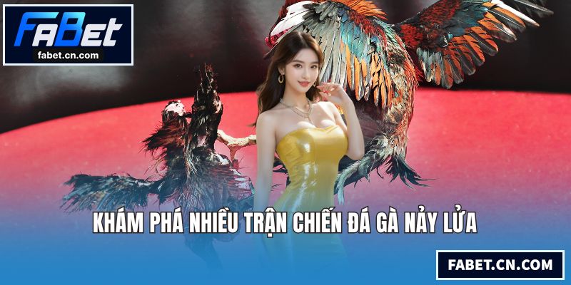 FABET - Nhà Cái Thể Thao, Bóng Đá Uy Tín #1 Việt Nam 2026 Khám phá nhiều trận chiến đá gà nảy lửa
