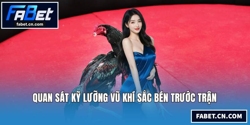 Quan sát kỹ lưỡng vũ khí sắc bén trước trận